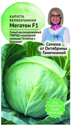 Семена Капусты Октябрина Ганичкинам Мегатон F1 10 шт, фото