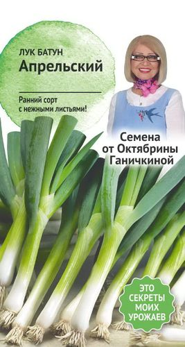 Семена Лук Апрельский Семена от Октябрины Ганичкиной 0,5 гр, вид