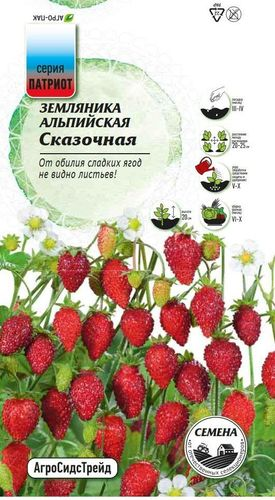 Земляника Сказочная - альпийская 0,05 г ПАТРИОТ, фотография