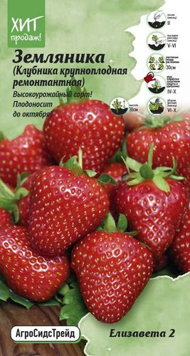 Земляника Елизавета 2 (Клубника крупноплодная ремонтантная) 0,02г АСТ, крупный план