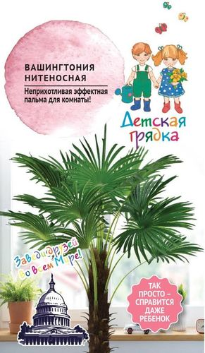 Вашингтония нитеносная 5шт Детская грядка, вид