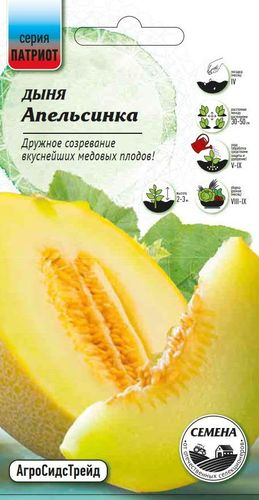 Семена Патриот Дыня Апельсинка, 10шт, картинка