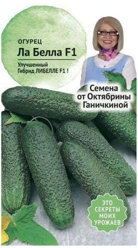Семена Огурца Октябрина Ганичкина Ла белла F1 10 шт, крупный план