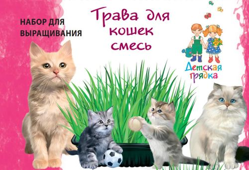 Семена Набор для выращивания "Трава для кошек Смесь"  Детская Грядка, картинка