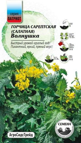 Семена Горчица салатная Волнушка  ПАТРИОТ, крупный план