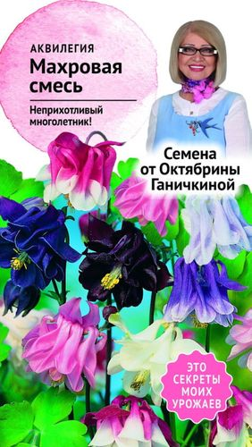 Семена Аквилегии Октябрина Ганичкина Махровая смесь, 0.05г, фотография