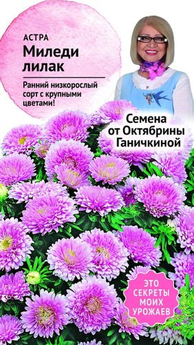 Семена Астры Октябрина Ганичкина Миледи лилак 0,2 г, фотография