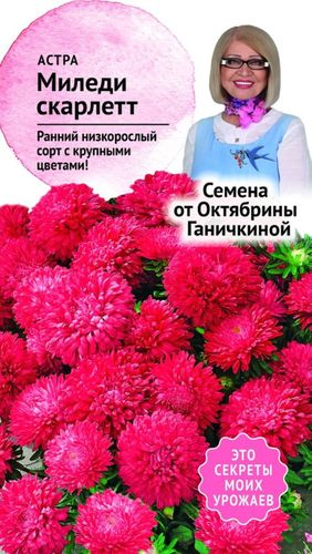 Семена Астры Октябрина Ганичкина Миледи скарлетт 0,1 г, изображение