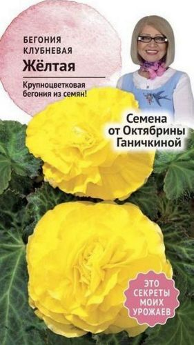 Семена Бегонии клубневой Октябрина Ганичкина желтая 6 шт, изображение