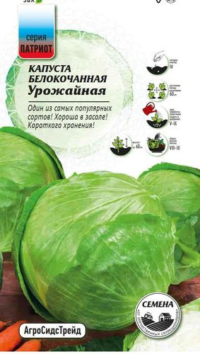 Семена Капуста белокочанная Урожайная ПАТРИОТ, фотография