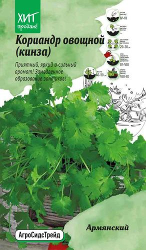Семена Кориандр (кинза) Армянский АСТ, вид