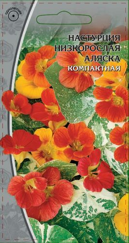 Семена Настурция Аляска, 1г, крупный план