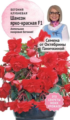 Семена Бегонии клубневой Октябрина Ганичкина Шансон красная F1 6 шт, картинка