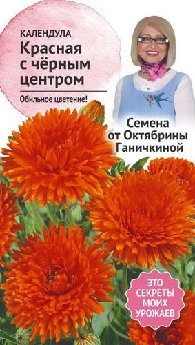 Семена Календулы Октябрина Ганичкина Красная с черным центром 0,3 г, картинка