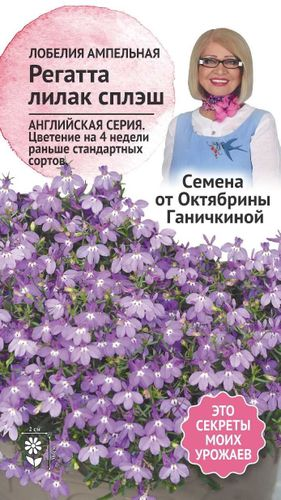 Семена Лобелия Регатта Лилак сплеш 10 шт Семена от Октябрины Ганичкиной, крупный план