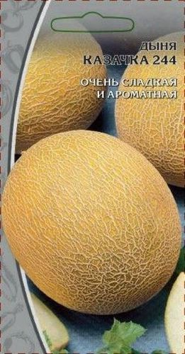 Семена Дыня Казачка 1 г, картинка