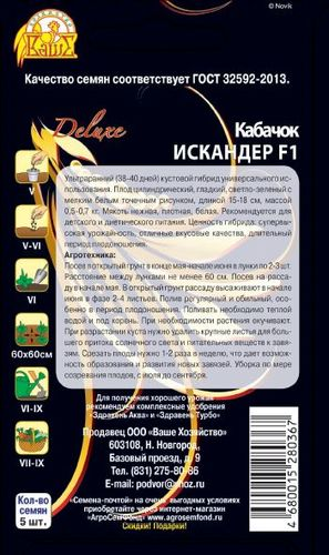 Семена Кабачка Искандер 5 шт, вид