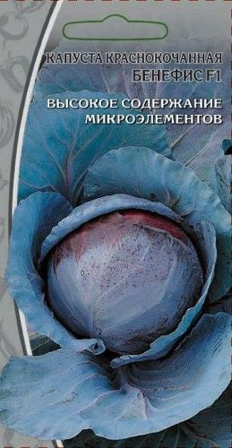 Семена Капусты краснокочанная Бенефис 0,3 г, фото