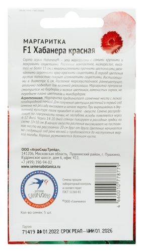Семена Маргаритка Хабанера красная, 5шт, крупный план