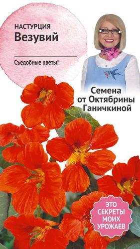 Настурция Везувий 2,0 г, крупный план
