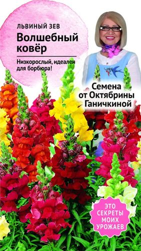 Семена Львиного зева Октябрина Ганичкина Волшебный ковер 0,05 г, детальное фото
