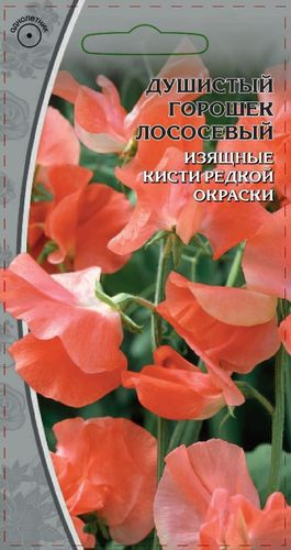 Семена Душистый горошек  Лососевый   0,5 г, фотография