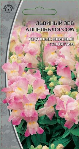 Семена Львиный зев Апельблоссом 0,2 гр, вид