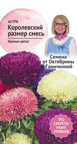 Семена Астра Королевский размер смесь 0,3 г  Семена от Октябрины Ганичкиной, фотография