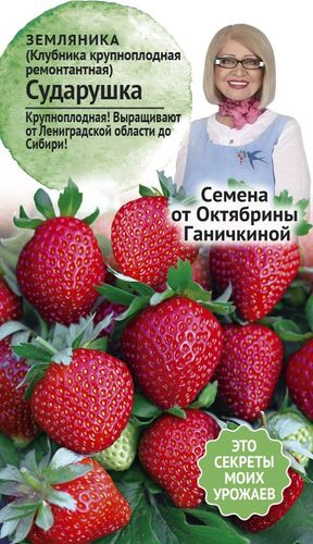 Земляника Сударушка (Клубника крупноплодная ремонтантная)  0,02г, детальное фото