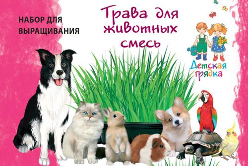 Семена Детская грядка Набор для выращивания Трава для Животных смесь, крупный план