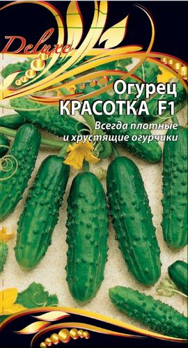 Огурец Красотка, 0,25г, фото