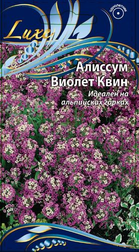Семена Алиссум Виолет Квин, 0.25г, детальное фото