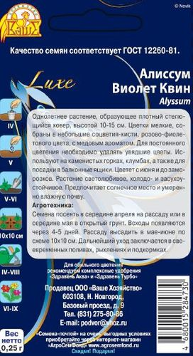 Семена Алиссум Виолет Квин, 0.25г, крупный план
