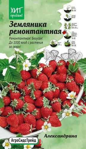 Семена Земляника Александрина - ремонтантная АСТ, детальное фото