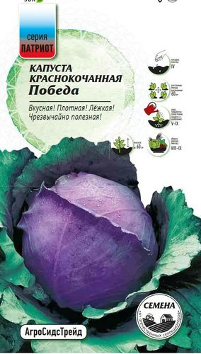 Семена Капуста краснокочанная Победа ПАТРИОТ, детальное фото