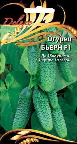 Семена Огурца Бьерн F1 0,25 г, вид
