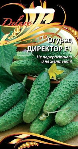 Семена Огурца Директор F1 7 шт, фотография