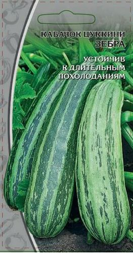Кабачок Зебра, 1г, крупный план