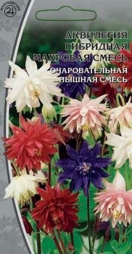 Семена аквилегия махровая смесь 0,05 г, картинка