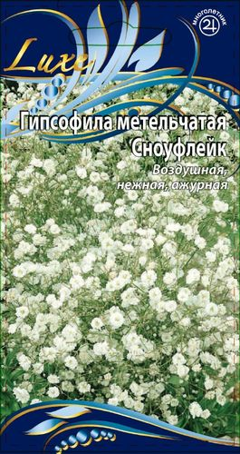 Семена Гипсофила метельчатая  Сноуфлейк  0,1г, крупный план