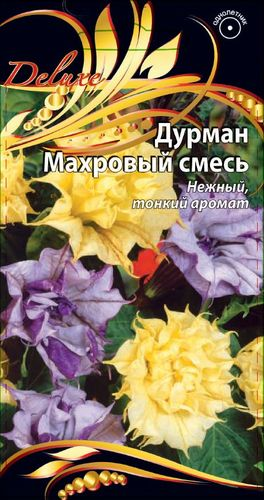 Семена Дурман Махровый смесь 4 шт, детальное фото