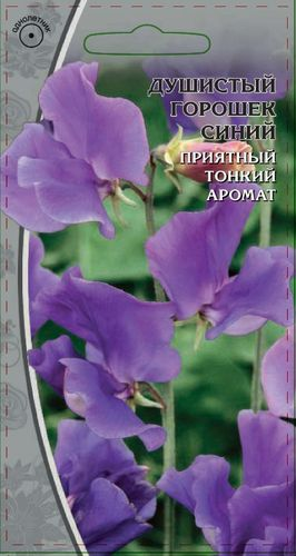Семена Душистый горошек синий, 0.5г, фото