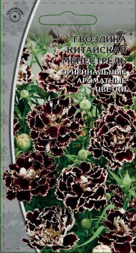 Семена Гвоздика китайская  Менестрель  0,05 гр, детальное фото