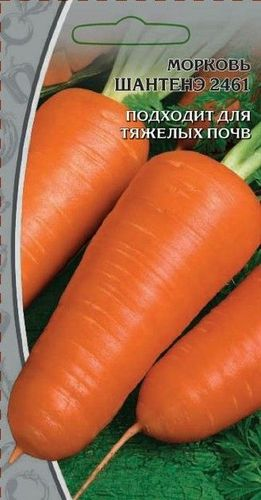 Семена Моркови Шантанэ 2г, картинка