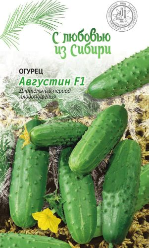 Семена Огурца Августин F1 0,25 г, изображение