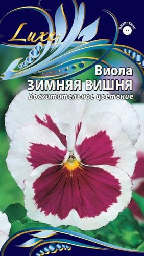 Семена виола зимняя вишня 0,2 г, картинка