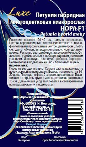 Семена петуния нора 10 шт, крупный план