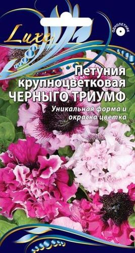 Семена петуния черныго триумф 10 шт, фотография