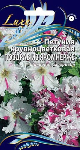 Семена петуния Поздрав из Яромнерже 10 шт, фотография