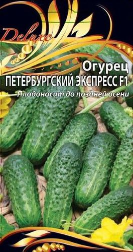 Семена Огурца Петербургский экспресс 0,25 г, фотография